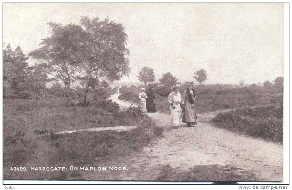 ENGLAND  HARROGATE  On Harlow Moor - Harrogate