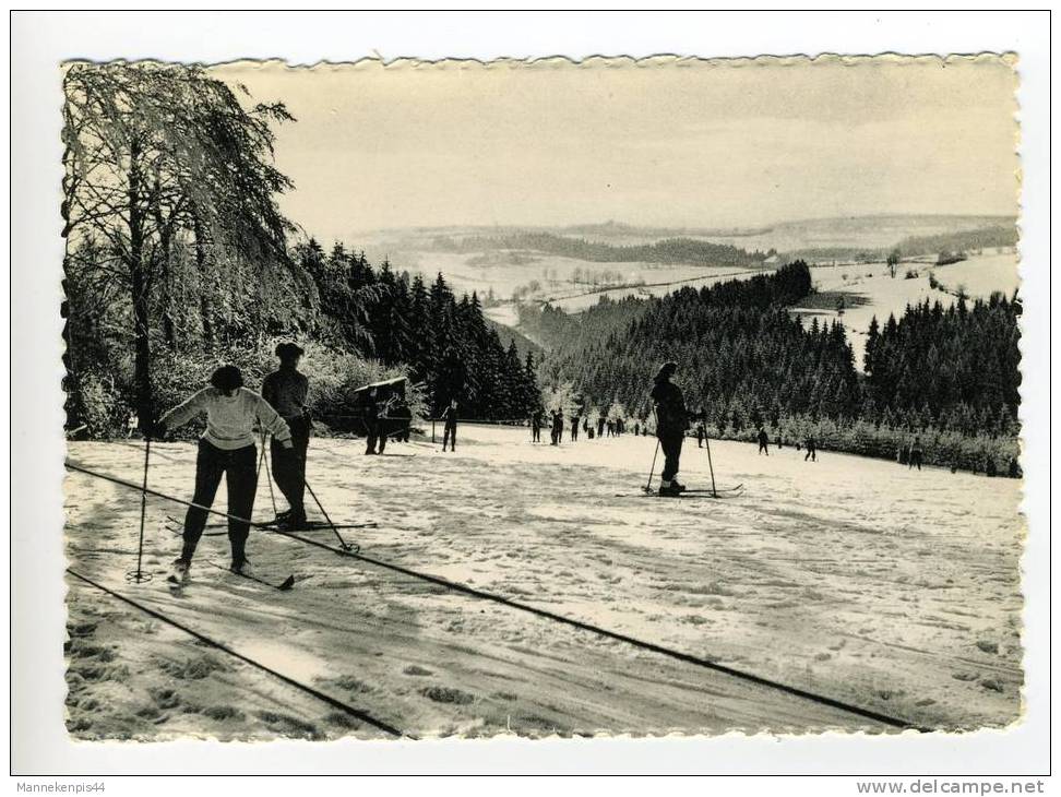 Robertville - La Piste De Ski D'Ovifat - Weismes