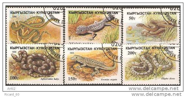 Série Oblitérée Du Kyrgystan, Faune, Reptiles, Serpents, Lézards, 1996 - Kirghizstan