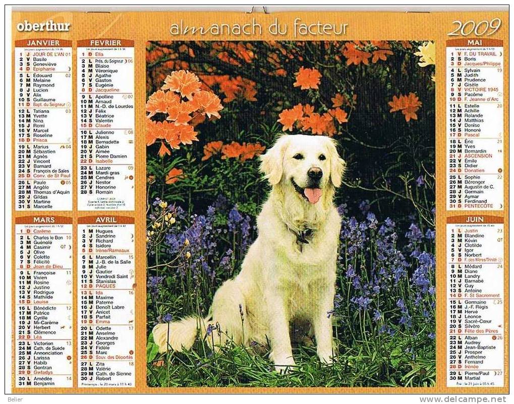 CALENDRIER ALMANACH 2009 - Big : 2001-...