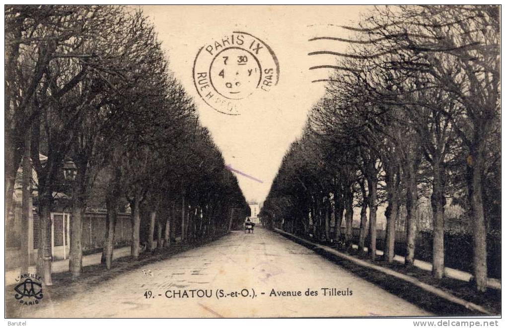 CHATOU - Avenue Des Tilleuls - - Chatou