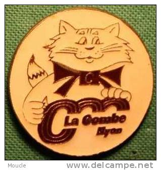 CHAT - CC LA COMBE NYON - VAUD - SUISSE - Animaux