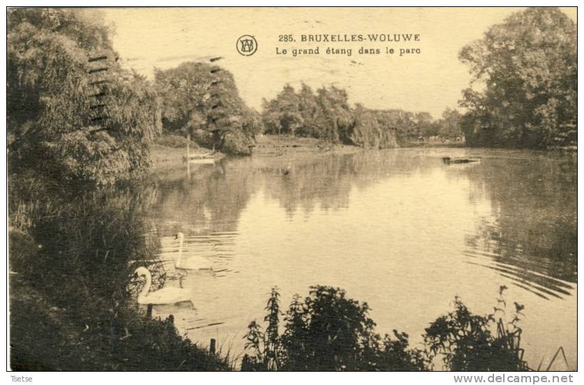 Woluwe - Le Grand étang Dans Le Parc -1931 - St-Pieters-Woluwe - Woluwe-St-Pierre