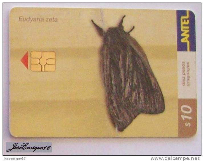 TC 196a MARIPOSA, Butterfly, EUDYARIA ZETA, URUGUAY, ANTEL - Uruguay