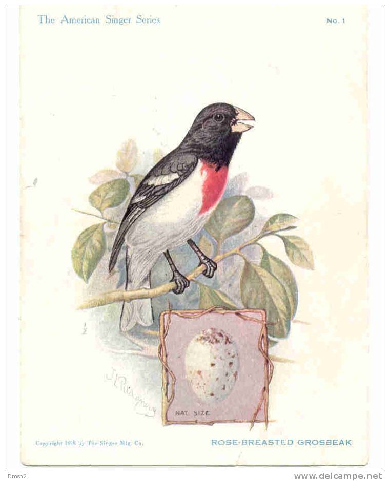 Singer Sewing Machine Bird  Rose-breasted Grosbeak - Advertising