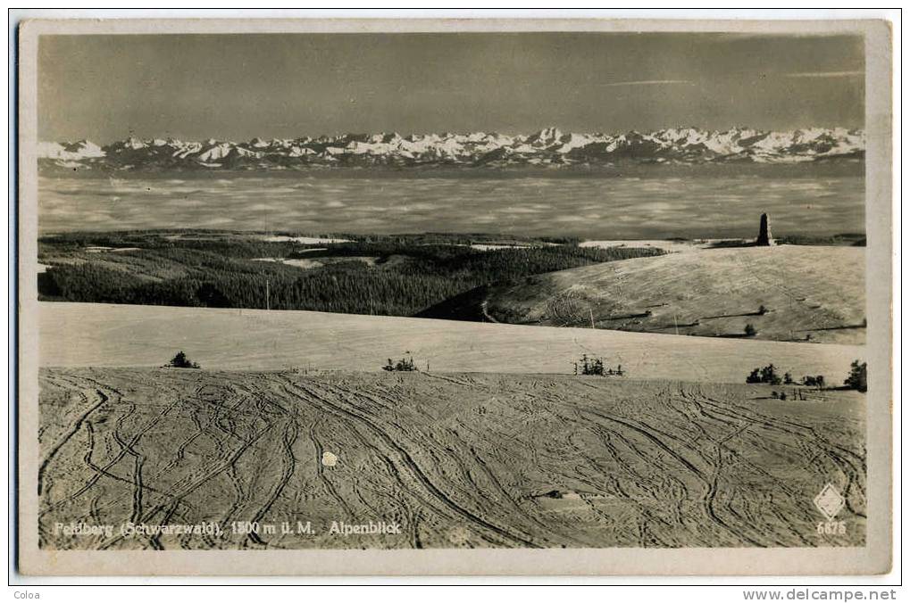 Feldberg Schwarzwald Alpenblick - Feldberg