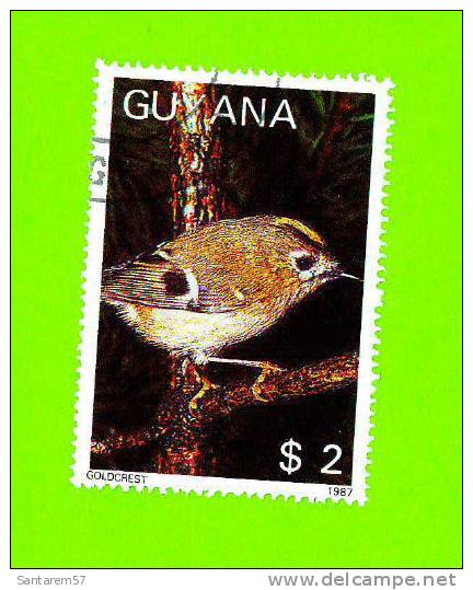 Timbre Oblitéré Used Mint Stamp Selo Carimbado GOLDCREST Oiseau Bird Passaro $2 GUYANA 1987 - Sonstige - Amerika