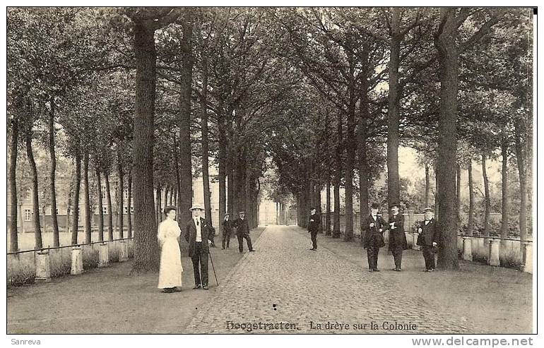 Hoogstraeten - La Drève Sur La Colonie - Hoogstraten