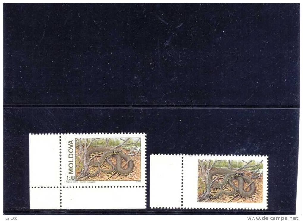 1993. Moldova ,WWF, Snakes, ERROR, The Stamp Without  Text, Mint/** - Schlangen