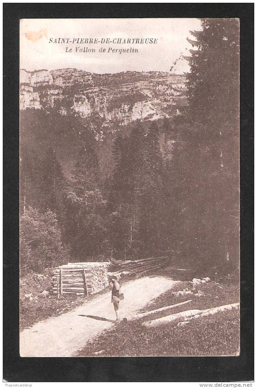 CPA SAINT-PIERRE DE CHARTREUSE LE VALLON DE PERQUELIN FRANCE RARE CHOPPING WOOD RAILWAY POSTMARK - Otros & Sin Clasificación