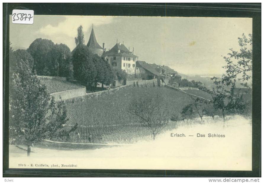 ERLACH - CERLIER  -  SCHLOSS - TB - Cerlier