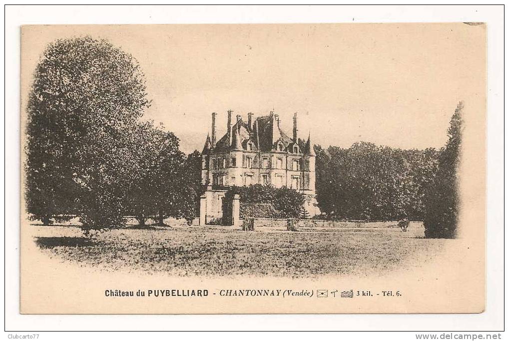 Chantonnay (85) : Le Château Du Puybelliard En 1928. - Chantonnay