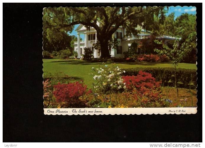 Orton Plantation - The South's Most Famous, North Carolina - Sonstige & Ohne Zuordnung