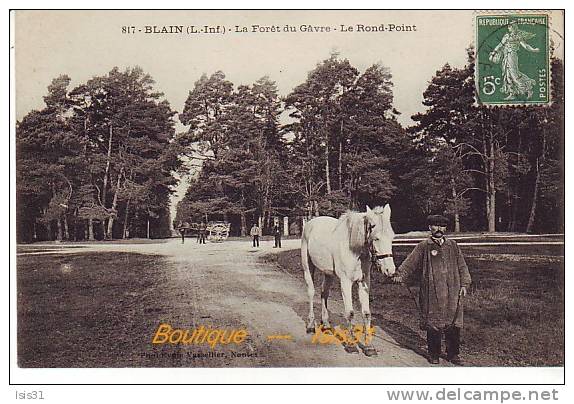 Dép 44 - Animaux - Attelage - Chevaux - RF19365- Blain - Le Gavre - La Forêt Du Gâvre - Le Rond Point - Bon état Général - Le Gavre