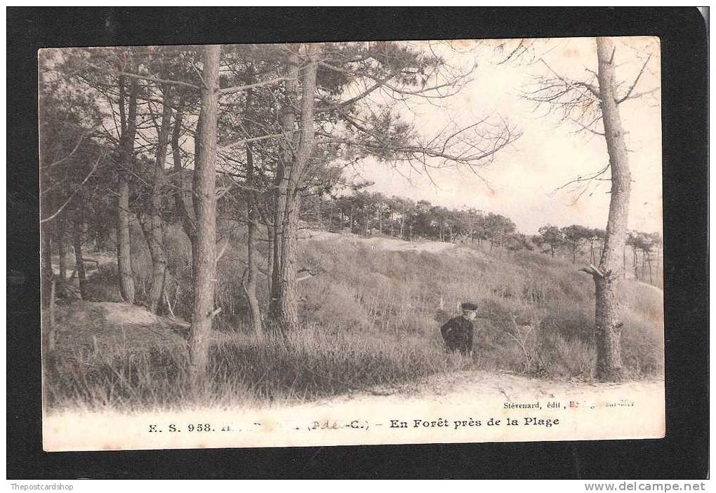 FRANCE CPA  62 NEUFCHATEL HARDELOT En Forêt Prés De La Plage PAS DE CALAIS - Autres & Non Classés