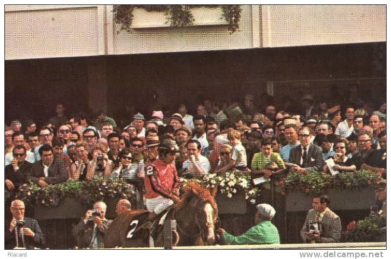 5444   Stati   Uniti     New York    Belmont Park  Elmont  Long Island    Stage  Door  Johnny   NV - Long Island