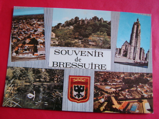 79 BRESSUIRE Souvenir  Multivues  EGLISE CHATEAU Piscine Jardins  CIRCULEE  Edit Theojac  N 15 Deux Sevres - Bressuire