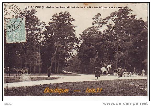Dép 44 - Chasse à Courre - RF19523 - Le Gavre - Le Rond Point De La Forêt - Un Piqueur Et Sa Meute - état - Le Gavre