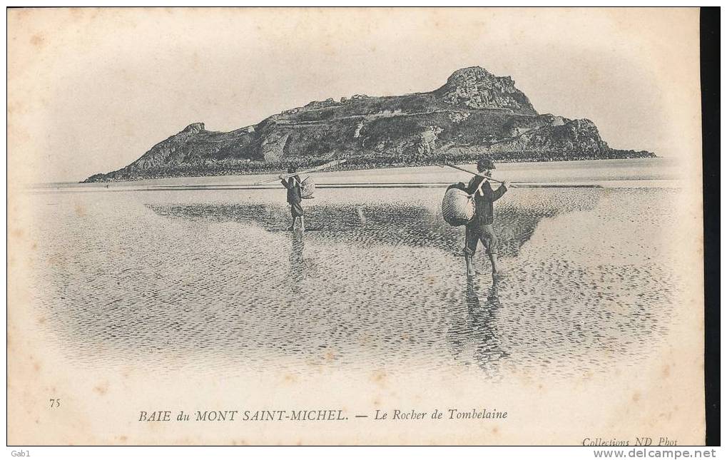 35 --- Baie Du Mont Saint - Michel --- Le Rocher De Tomblaine - Other & Unclassified