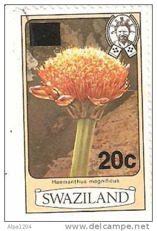 TIMBRE SWAZILAND "HAEMANTHUS MAGNIFICUS" OBLITERE - Swaziland (1968-...)