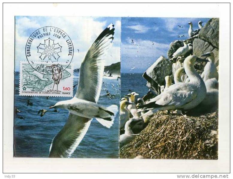 - FRANCE FDC CONSEVATOIRE DU LITTORAL . CACHET 1ER JOUR ROCHEFORT 20/6/81 - Mechanical Postmarks (Advertisement)