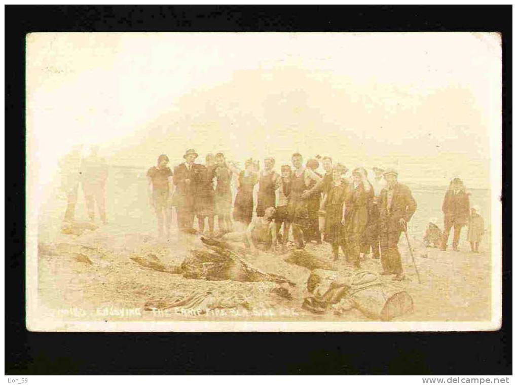 ENJOYIKC THE CAMP FIRE 190 OREGON Photo 1920 To Bulgaria Bulgarien Bulgarie Bulgarije Pc 21888 - Portland