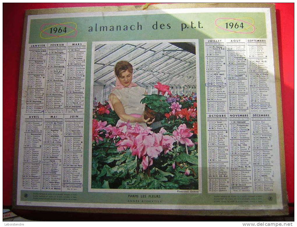 ALMANACH DES P.T.T 1964 -CALENDRIER - RAVISANTE FEMME PARMI LES FLEURS -ANNEE BISSEXTILE -5 PHOTOS - Tamaño Grande : 1961-70