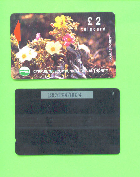 CYPRUS - Magnetic Phonecard As Scan - Chipre