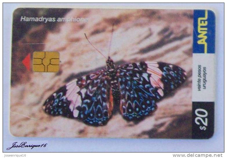 TC 247a Butterfly, MARIPOSA. HAMADRYAS AMPHIONE. ANTEL, URUGUAY. - Uruguay