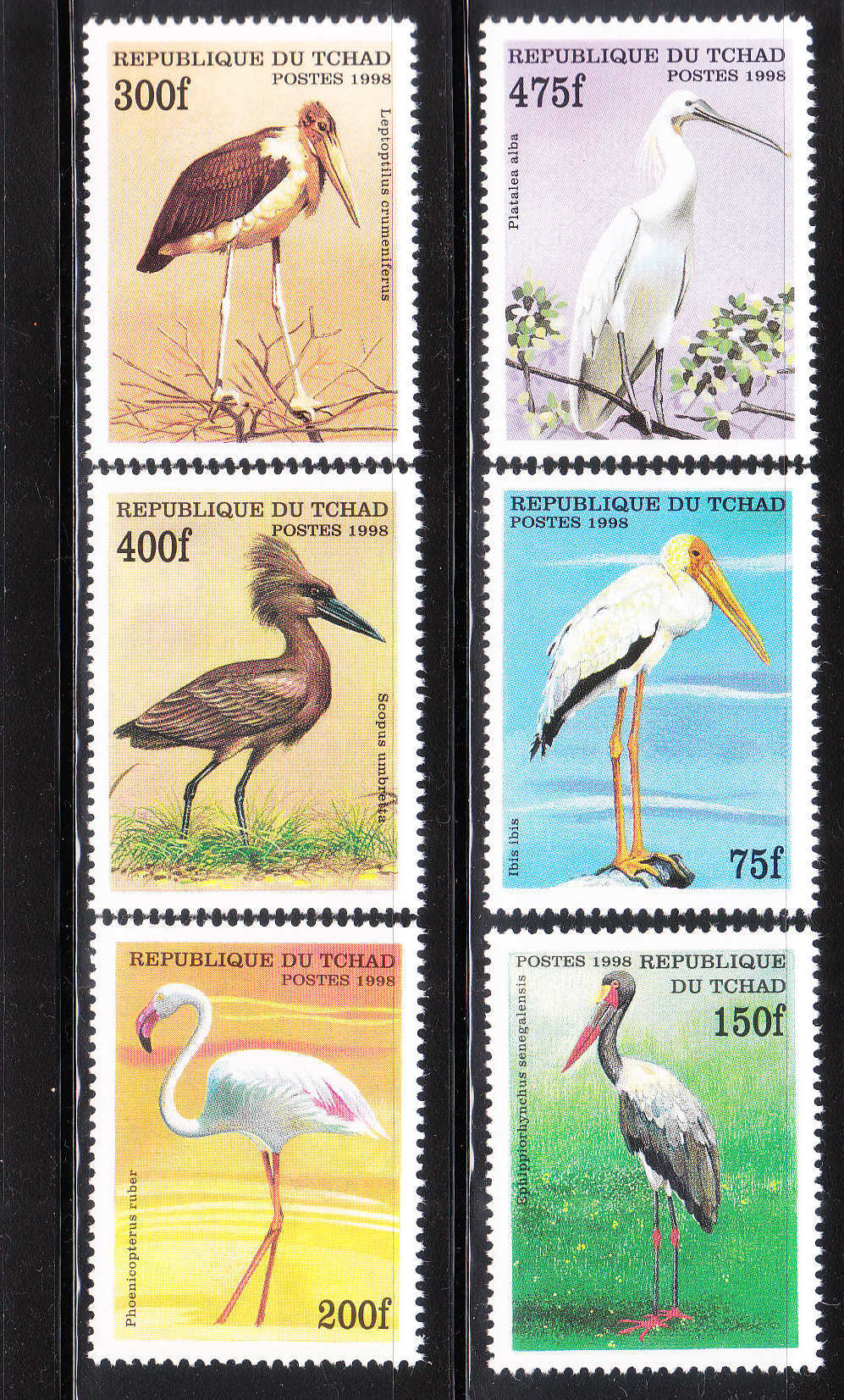 Chad 1999 Birds MNH - Cigognes & échassiers