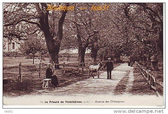 Dép 44 - Arbres - Animaux - Anes - RF19576 - Pontchâteau - Le Prieuré - Avenue Des Chataigniers - état - Pontchâteau