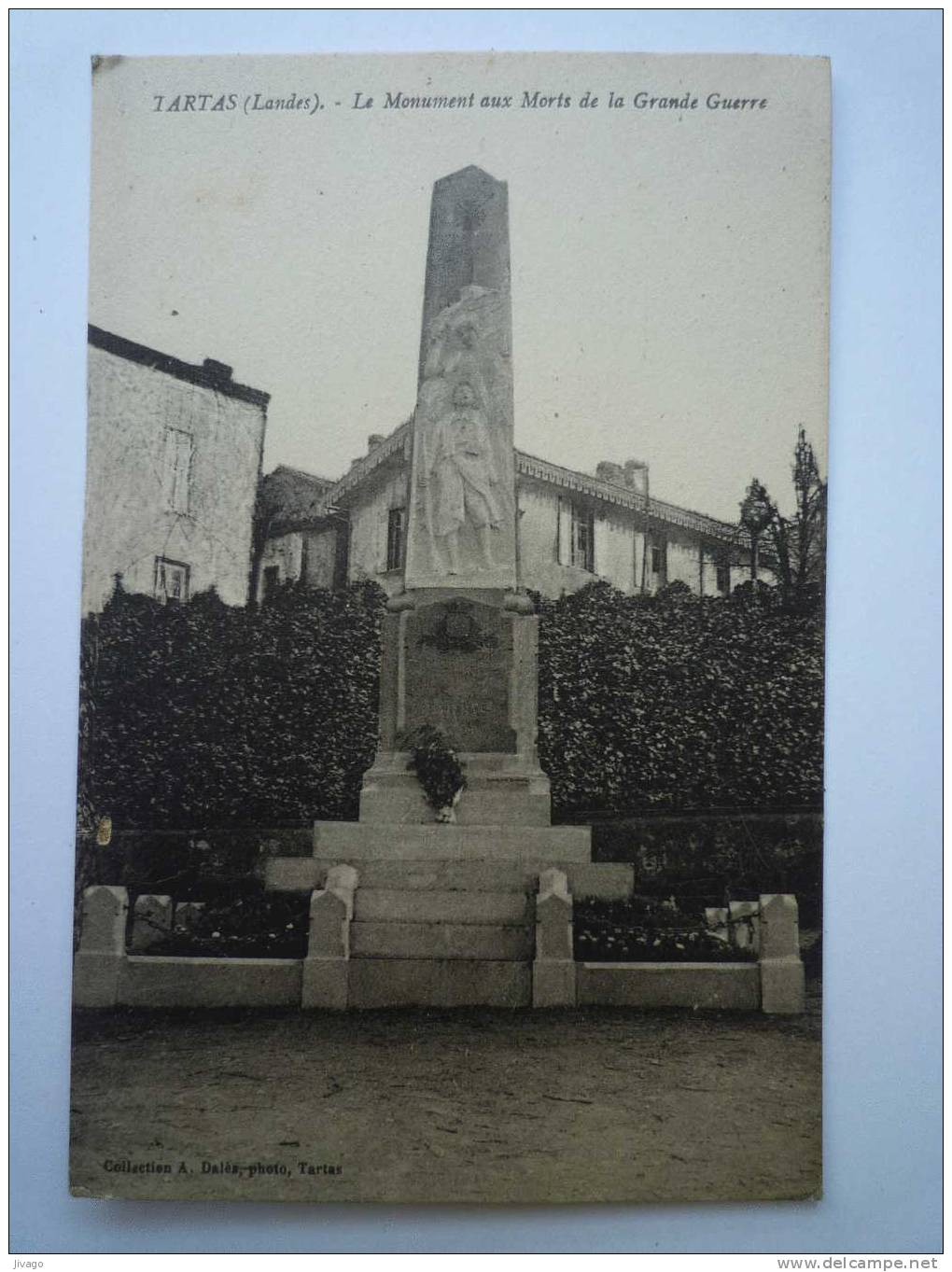 TARTAS  (Landes)  :  Le Monument Aux Morts De La Grande Guerre - Tartas