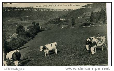 SAINT HIPPOLYTE - La Chapelle - Vaches - Saint Hippolyte