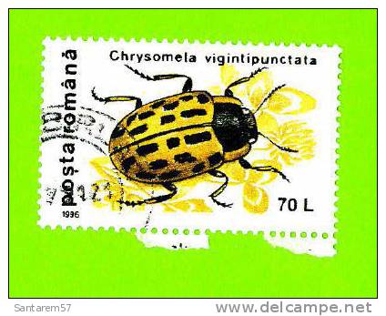 Timbre Oblitéré Used Mint Stamp Selo Carimbado Posta Romana 70 L Chrysomela Vigintipunctata ROUMANIE 1996 - Usado
