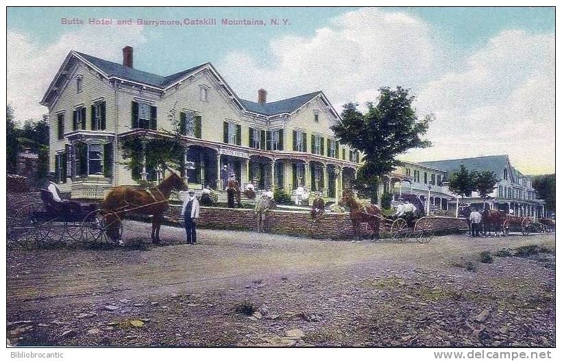 U.S.A. - BUTTS HOTEL AND BARRYMORE, CASTKILLS MOUNTAINS, N. Y. - Catskills