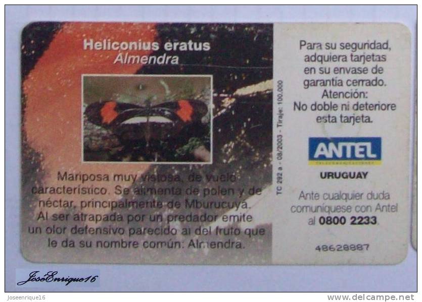 TC 292a Butterfly, MARIPOSA. HELICONIUS ERATUS ALMENDRA. ANTEL, URUGUAY. - Uruguay