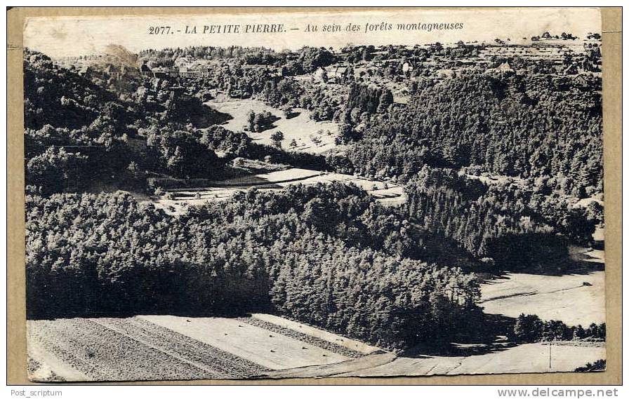 La Petite Pierre Au Sein Des Forêts Montagneuses - La Petite Pierre