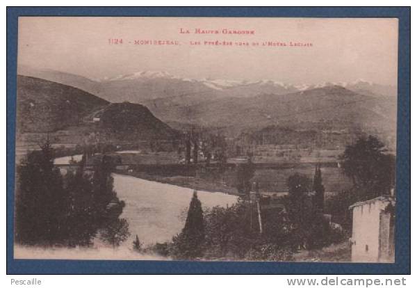 31 LA HAUTE GARONNE - CP MONTREJEAU - LES PYRENEES VUES DE L'HOTEL LECLAIR - PHOTOTYPIE LABOUCHE FRERES TOULOUSE N° 1124 - Montréjeau