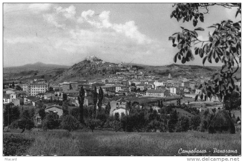 5569    Italia   Campobasso   Panorama   VG  1952 - Campobasso