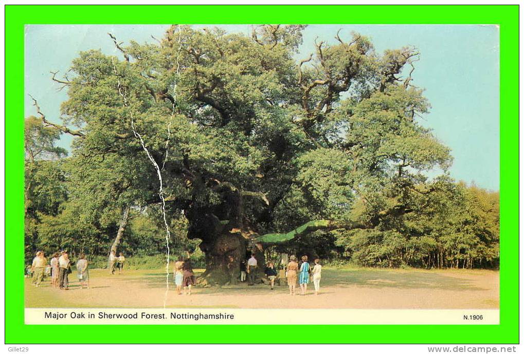 NOTTINGHAMSHIRE, UK -  MAJOR OAK IN SHERWOOD FOREST - ANIMATED - DENNIS PROD. - - Nottingham