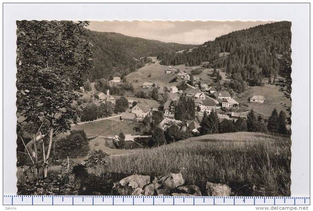 ALLEMAGNE--KURORT TODTMOOS   --RECTO / VERSO ----Z29 - Todtmoos