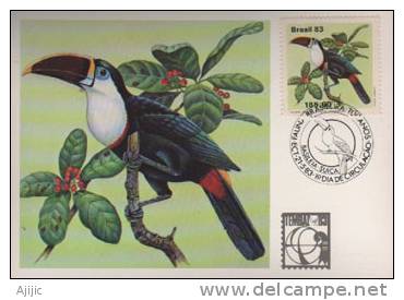 Bresil. Toucan Ramphastos T.tucanus. Une Belle Carte-maximum (Expo.Philatelique BALE 1983) - Perroquets & Tropicaux