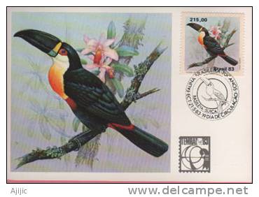 Bresil. Toucan Ramphastos V.vitelinus. Une Belle Carte-maximum (Expo.Philatelique BALE 1983) - Perroquets & Tropicaux