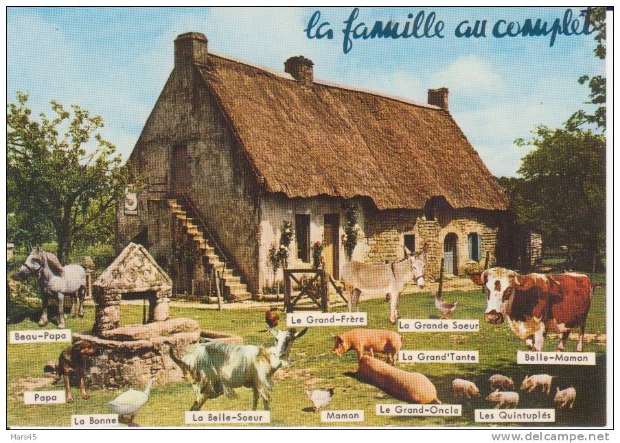 LA FAMILLE AU COMPLET - Agriculture,humour,ferme, Basse Cour,ane,vache,cochon,ché Vre,poule,canard - Bauernhöfe