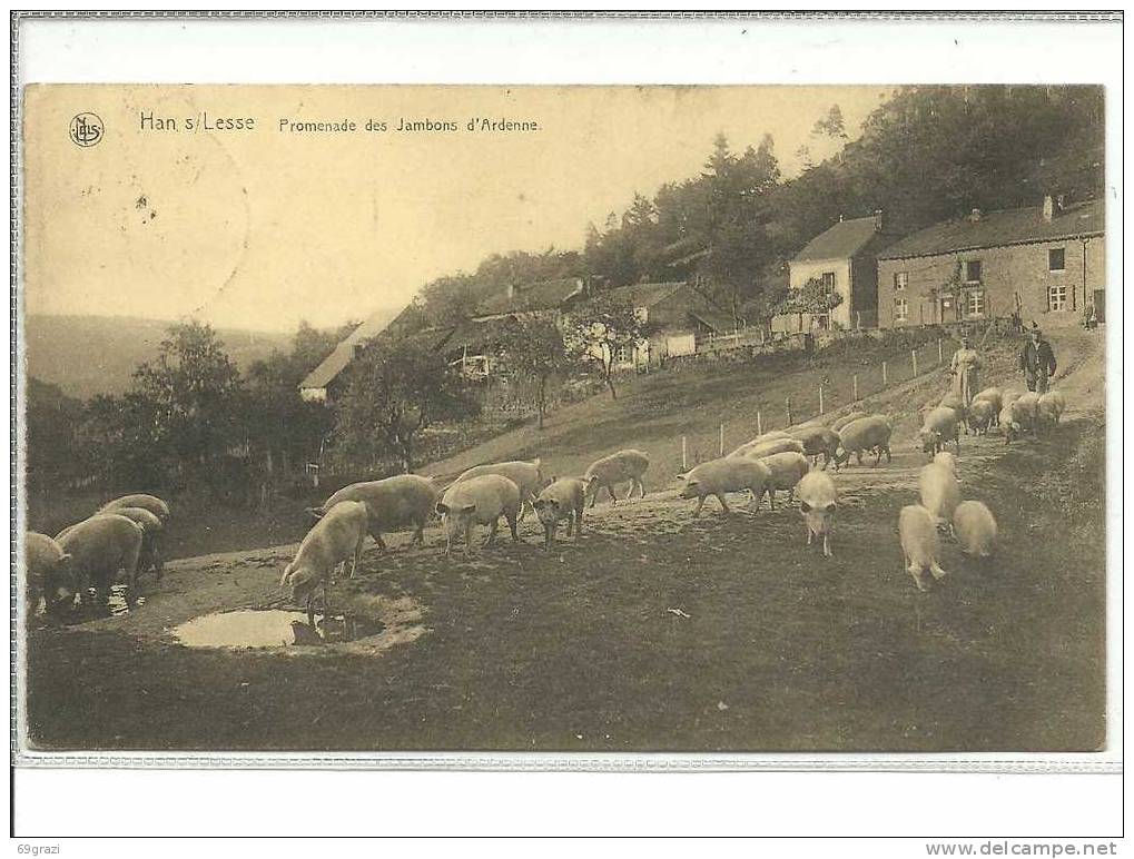 Han Sur Lesse  Promenade Des Jambons D'Ardenne - Rochefort