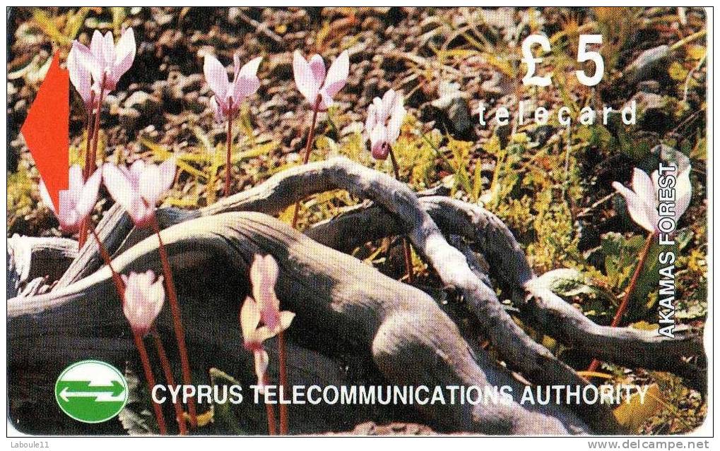 CHYPRE N°00005 - Zypern