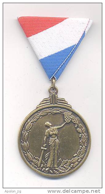 CROATIA * HOMELAN&#8203;D WAR MEMORIAL MEDAL1990-92 WITH CE&#8203;RTIFICATE SIGNED BY FRANJO TUDJMAN - Other & Unclassified