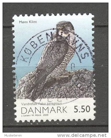 Denmark 2009 Mi. 1525  5.50 Kr Møns Klint National Park Bird Falcon Deluxe Cancel !! - Used Stamps