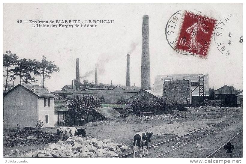 D64 - Environs De Biarritz - LE BOUCAU - BELLE VUE DE L'USINE DES FORGES DE L'ADOUR + VACHES ! - Boucau