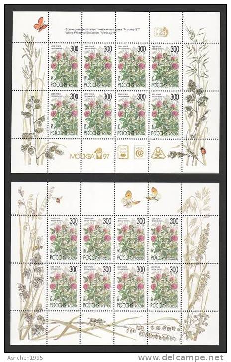 Russia 1995, Flowers, Flora, 2 MS - MNH ** - Feuilles Complètes